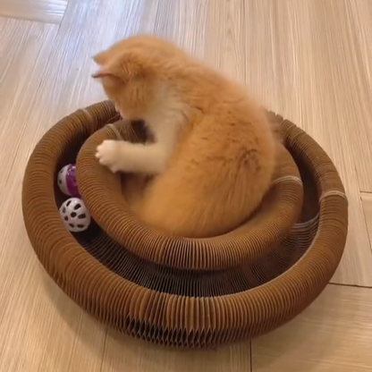 Cat playing with a ball inside a Magic Cat Toy on a wooden floor