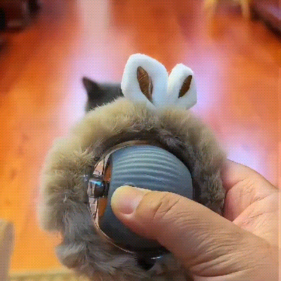 Petrical Interactive Pet Toy™