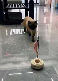 Cat walking on a marble floor towards a small robotic device with a feather toy (UFO Cat Teaser Toy) on top.
