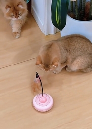 Two cats playing with a pink UFO Cat Teaser Toy on a wooden floor.