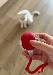 Red ball with a handle held by a hand on a wooden floor with a white cat in the background