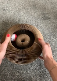 Person holding a Magic Cat  scratch Board with a small Ball inside on a concrete surface