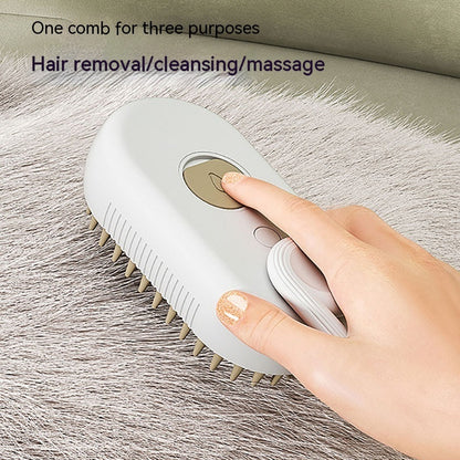 Petrical Steam Brush™