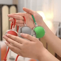 Petrical Interactive Pet Toy™