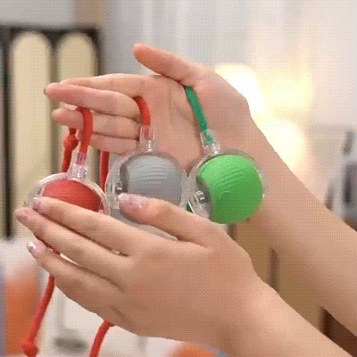Petrical Interactive Pet Toy™