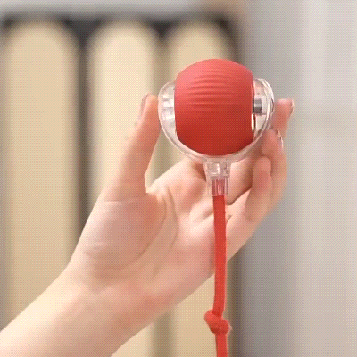Petrical Interactive Pet Toy™