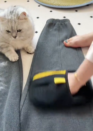 Person using a tool (Pet Hair Remover Mitt) to remove pet hair from a surface with a cat observing.