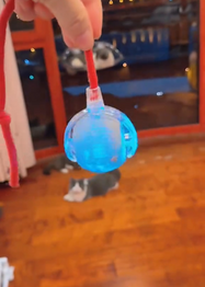 Blue automatic cat ball with tail toy held by a hand, with a cat in the background.